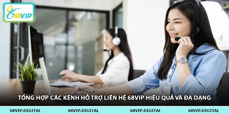 Tổng hợp các kênh hỗ trợ liên hệ 68vip hiệu quả và đa dạng